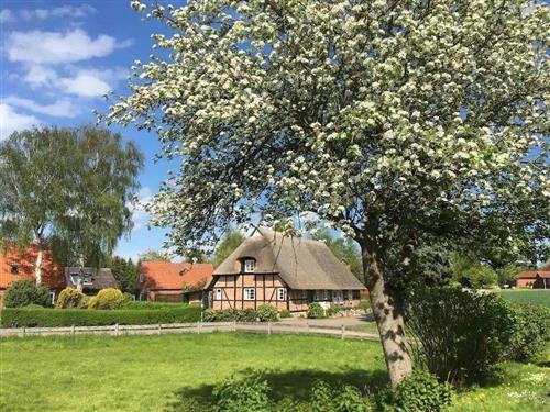 Ferienhaus - 6 Personen -  - Schmiedendorf - 24321 - Schmiedendorf