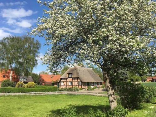 Feriehus - 6 personer -  - Schmiedendorf - 24321 - Schmiedendorf