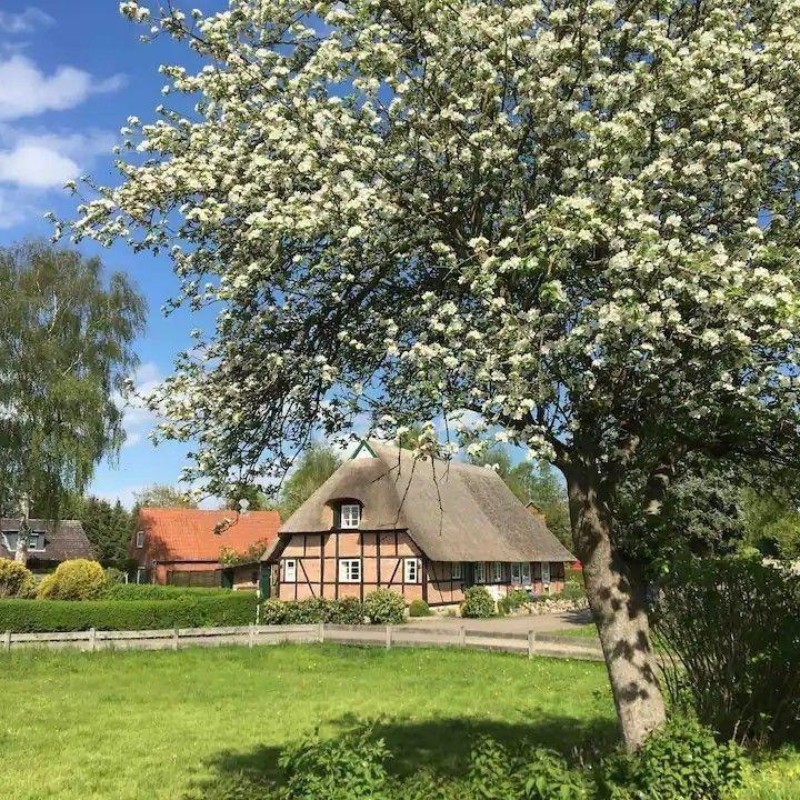 Sommerhus - 6 personer -  - Schmiedendorf - 24321 - Schmiedendorf