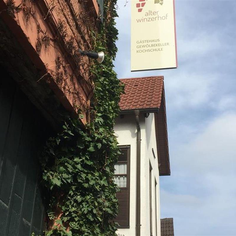 Ferielejlighed - 5 personer -  - Hauptstraße - 67273 - Weisenheim Am Berg