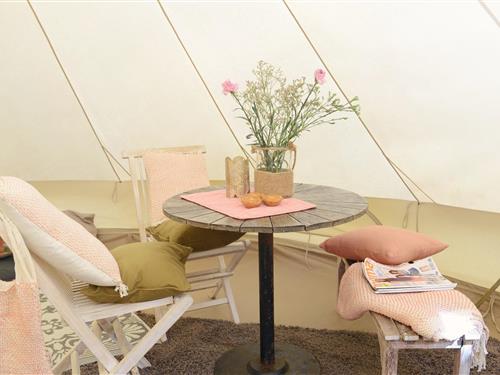 Glamping telt - 4 personer -  - 1759JG - Callantsoog