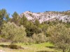 Billede 10