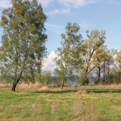 Billede 4
