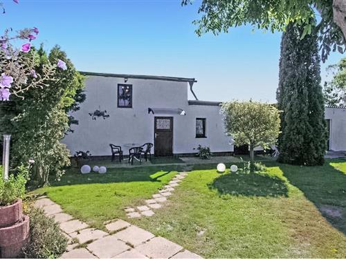 Ferieleilighet - 3 personer -  - Wiesenblick - 17419 - Korswandt/Usedom