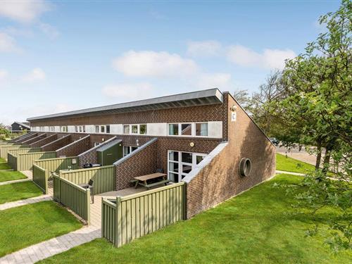 Ferienwohnung - 6 Personen -  - Vester Fælled - Bork Havn - 6893 - Hemmet Strand