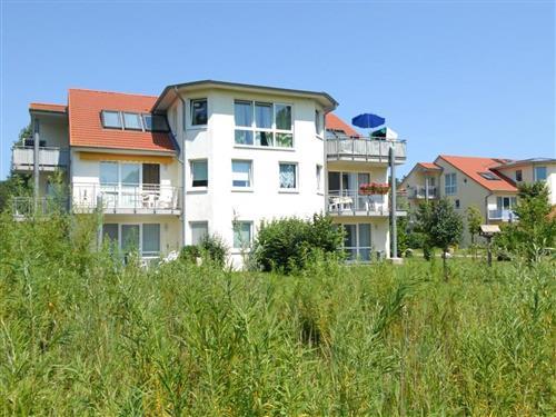 Holiday Home/Apartment - 4 persons -  - Ostseeallee - 23946 - Boltenhagen