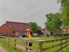 Image 28 - Outside