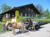 Bild 33