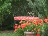 Image 31 - Outside