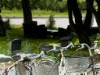 Bild 61