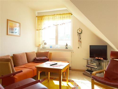 Ferienhaus - 4 Personen -  - Schulstraße - 18375 - Ostseebad Prerow