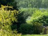 Afbeelding 16 - Ude