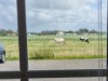 Bild 20