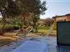 Billede 11