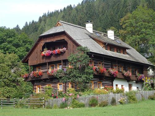 Bauernhof - 4 persons -  - Mitterdorf - 9564 - Patergassen