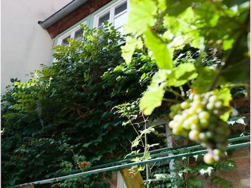 Holiday Home/Apartment - 2 persons -  - 06484 - Quedlinburg