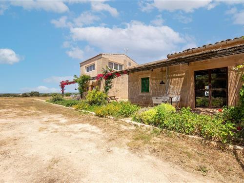 Cottage - 2 persons -  - 07630 - Campos