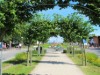 Bild 16