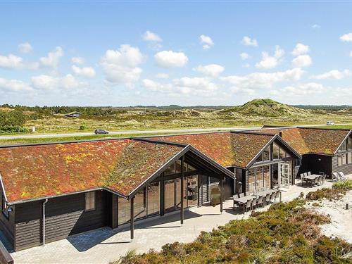 Sommerhus - 18 personer -  - Tranebærvej - 6854 - Henne Strand