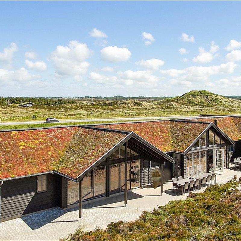 Ferienhaus - 18 Personen -  - Tranebærvej - 6854 - Henne Strand