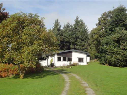 Feriehus / leilighet - 4 personer -  - 54483 - Kleinich-Pilmeroth