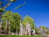 Billede 17