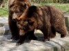 Bild 16