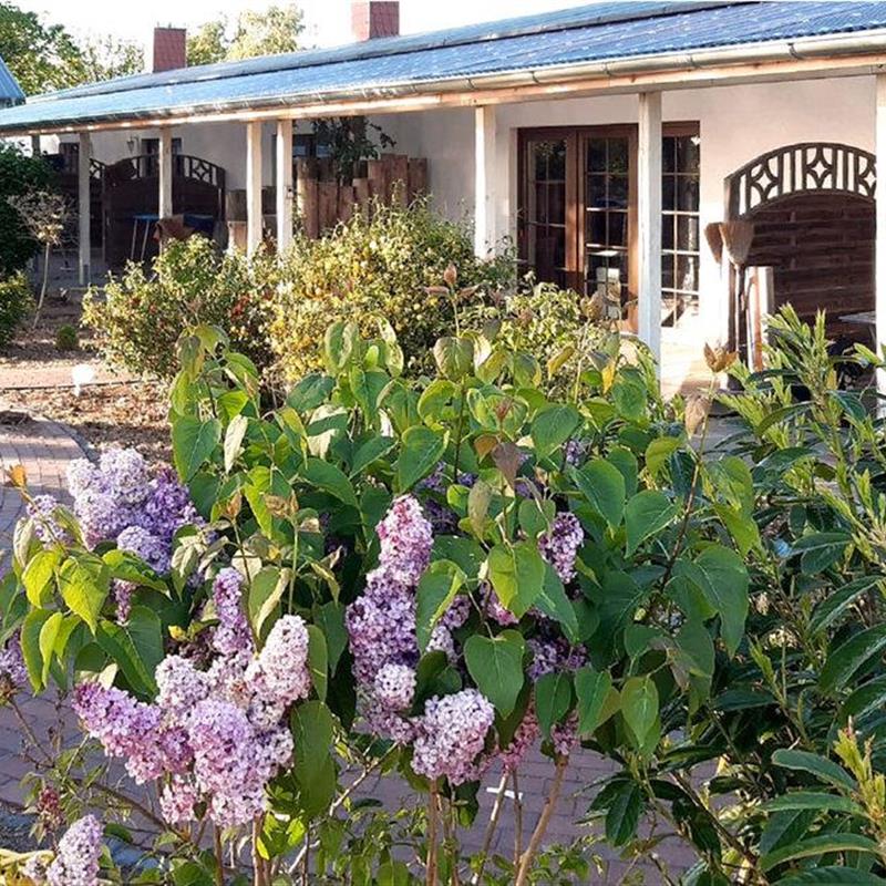 Sommerhus - 2 personer -  - Hafenstraße 6 Haus 12a/ FW - 18356 - Fuhlendorf