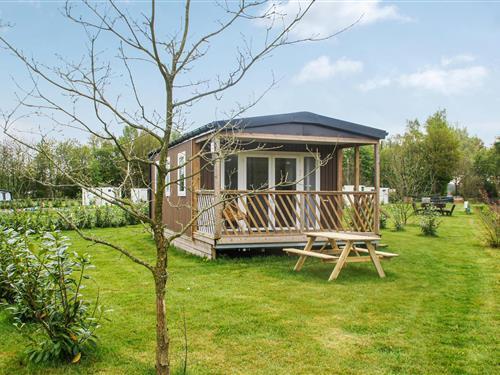 Ferieleilighet - 4 personer -  - Elperstraat - 9443 TL - Schoonloo