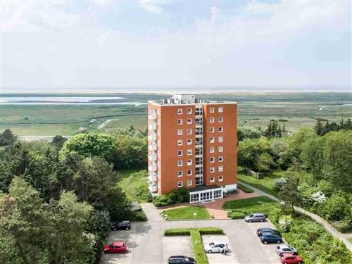 Feriehus / leilighet - 4 personer -  - Fritz-Wischer-Straße - 25826 - St. Peter-Ording