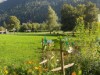 Bild 54