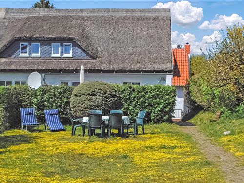 Feriehus / leilighet - 4 personer -  - Siedlung - Kloster/Insel Hiddensee - 18565 - Kloster/Insel Hiddense