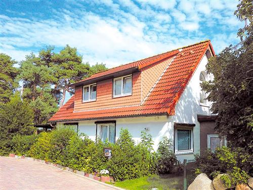 Feriehus / leilighet - 2 personer -  - Heckenweg - 18347 - Dierhagen