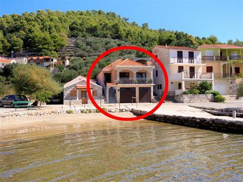 Holiday apartment - 6 persons -  - Gršcica Vela 7, Gršcica - 20271 - Blato