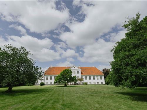 Ferienhaus - 28 Personen -  - Hindemaevej - 5540 - Ullerslev