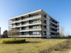 Bild 40