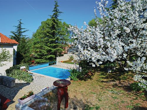 Feriehus - 3 personer -  - Reburici - Labin-Trget - 52224 - Reburici