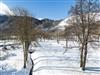 Bild 17 - Ude