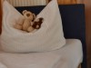 Bild 14