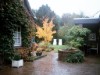 Bild 76