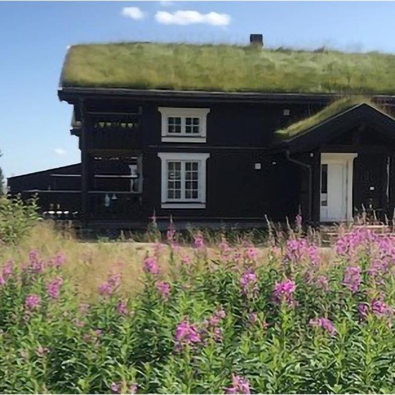 Sommerhus - 8 personer -  - Tempelsetertunet - Tempelseter - 3359 - Eggedal