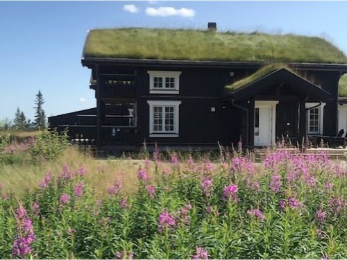 Fritidshus - 8 personer -  - Tempelsetertunet - Tempelseter - 3359 - Eggedal