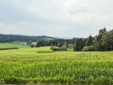 Objekt Nr.: 305-DE8347.601.1