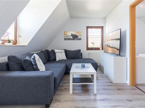 Ferielejlighed - 3 personer -  - Albin-Köbis-Siedlung - 23946 - Boltenhagen