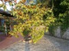 Bild 29
