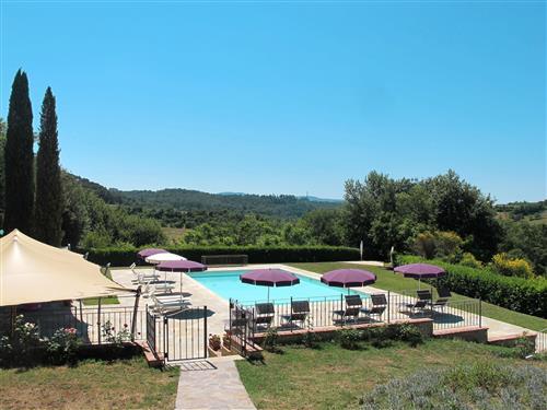 Ferienwohnung - 10 Personen -  - Colle Val D'elsa - 53036