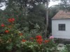 Bild 25