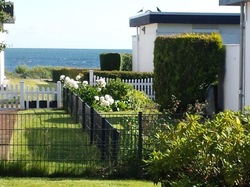 Bungalow - 3 Personen -  - Fereinresidenz - 23769 - Fehmarn Ot Staberdorf