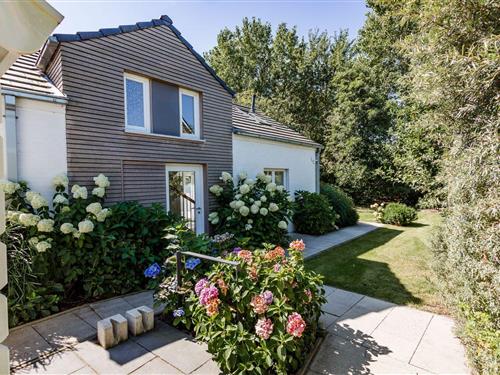 Feriehus - 5 personer -  - Kliff - 25938 - Nieblum