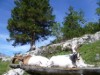 Bild 17